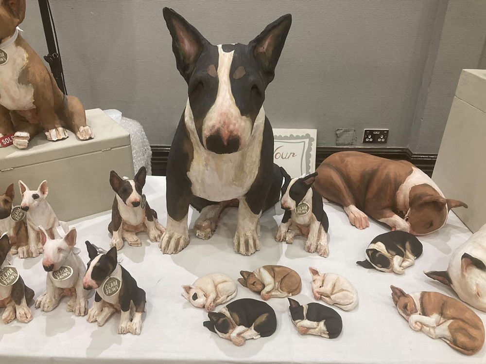 miniature bull terriers